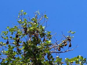 IMG 5157